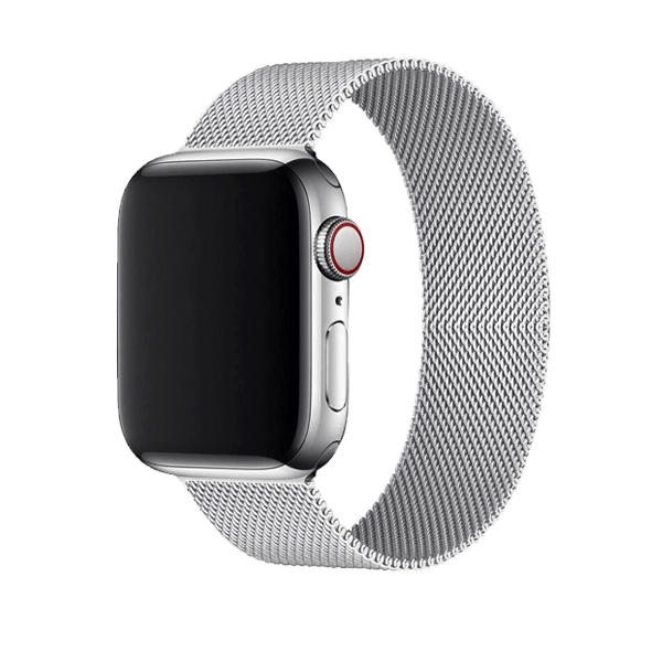 Apple Watch Wrist Strap Metal Silver
